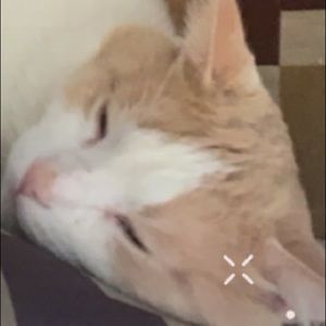 Meet your Posher, Mikey